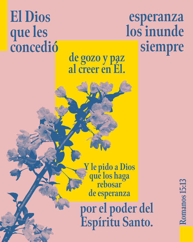 Ejemplo de una gráfica de redes sociales para iglesias de Sunday Social